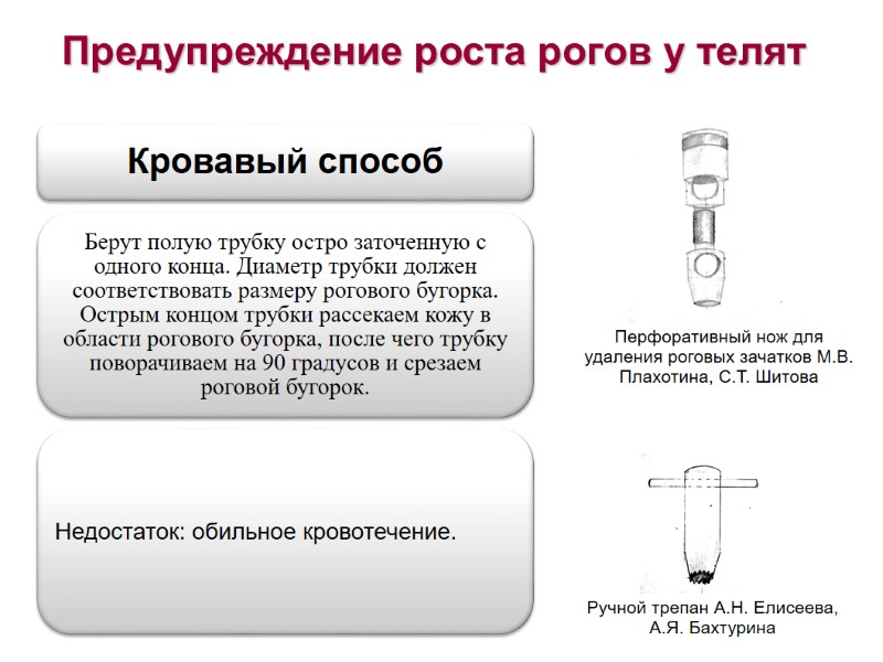 Предупреждение роста рогов у телят Перфоративный нож для удаления роговых зачатков М.В. Плахотина, С.Т. Предупреждение роста рогов у телят Перфоративный нож для удаления роговых зачатков М.В. Плахотина, С.Т.